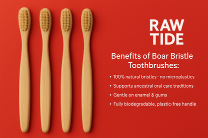 Boar Bristle & Bamboo Toothbrush (4 Pack)
